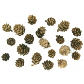 Pommes de pin 1,5 à 3 cm 20 pièces
