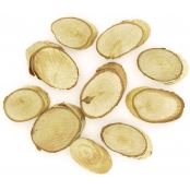 Tranches de bois ovales 4 à 6,5 cm 10 pièces