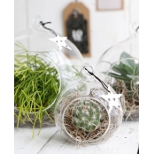 Boule verre ouverte 12 cm
