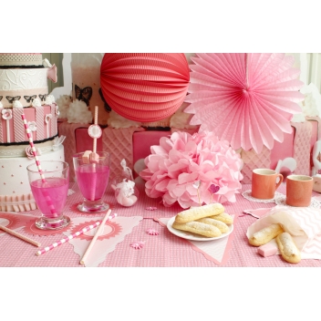 490011 - 3532434900115 - Graine créative - Lanternes roses à monter soi-même (5 pièces) - 5